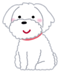 父